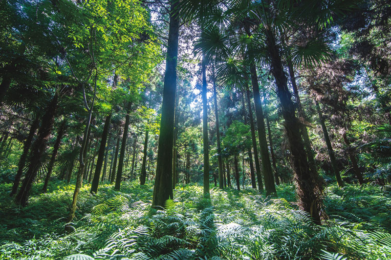 個性化定制，讓家煥發(fā)新魅力